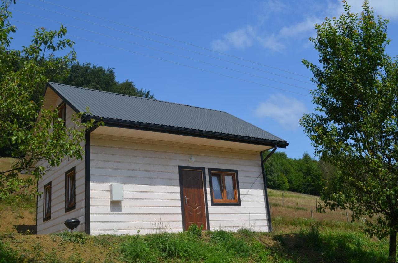 Domek Zacisze Gor Slonnych Tyrawa Woloska 外观 照片